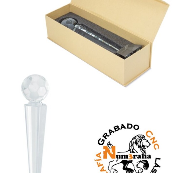 Trofeo 13