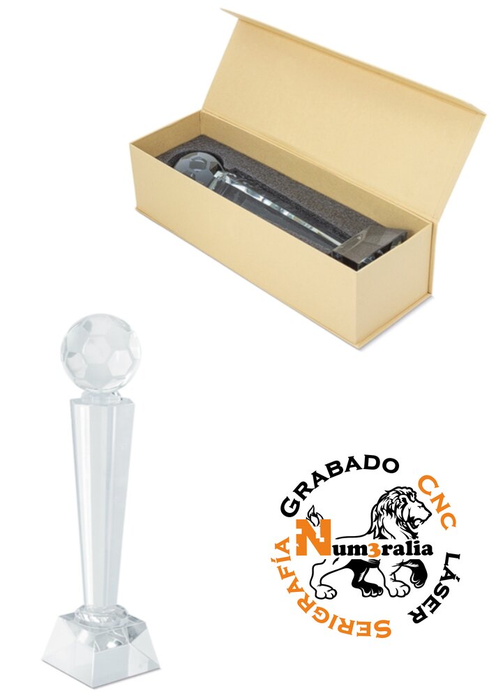 Trofeo 13