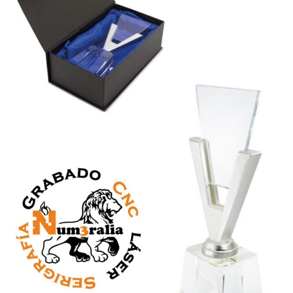 Trofeo 19