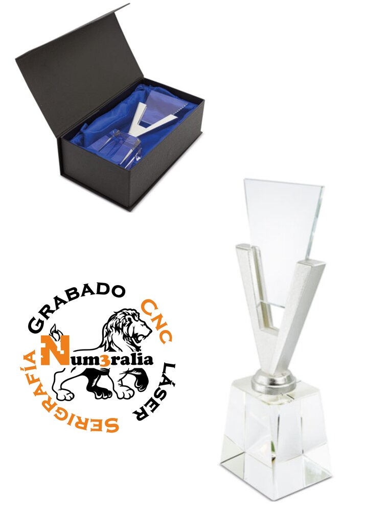 Trofeo 19