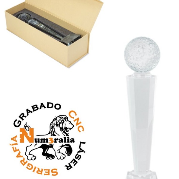 Trofeo 20