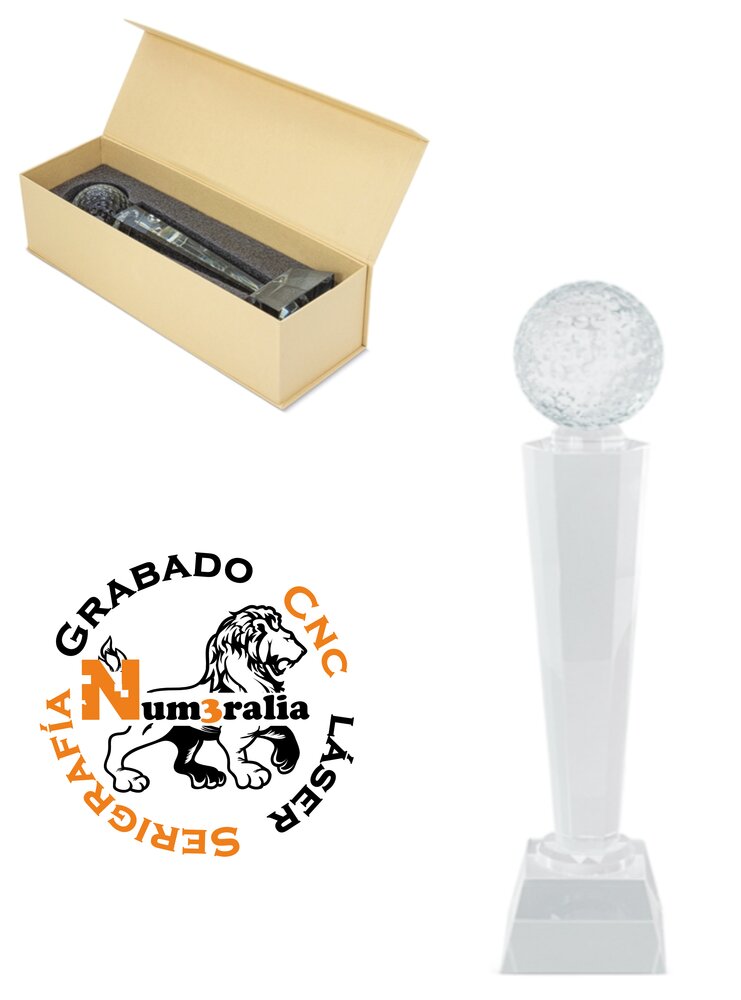 Trofeo 20