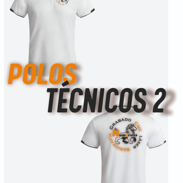 Polo Técnico 2